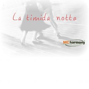 Download track Straniero Vero Nimbaso