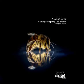 Download track Be Awake Original Mix AudioStorm