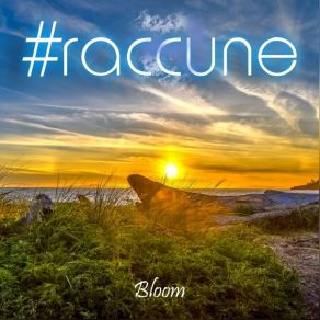 Download track Darkbloom # Raccune