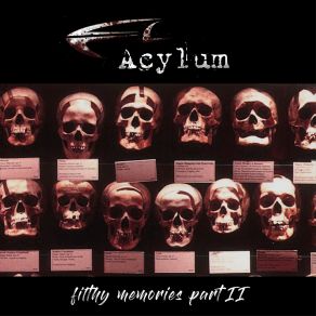 Download track Trip Of Hate (May-Fly Remix) AcylumMayfly