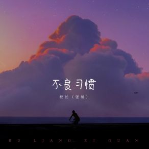 Download track 不良习惯 (和声伴奏) 校长 (张驰)