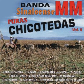 Download track No Tiene Vuelta De Hoja Banda Sinaloense MM