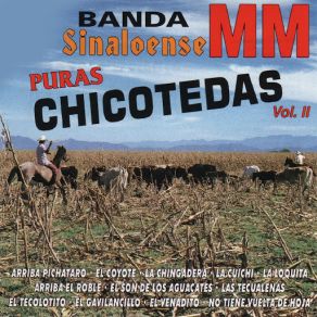 Download track La Chingadera Banda Sinaloense MM