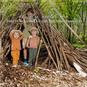 Download track Forest Nursery Daytime Birdsong Ambience, Pt. 16 Sebastian Riegl