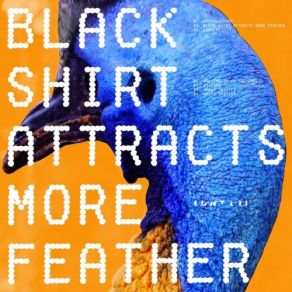 Download track Black Shirt Attracts More Feather KUNTARI