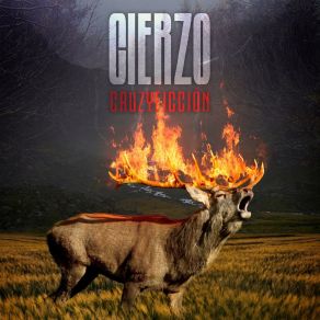 Download track Luz Cierzo