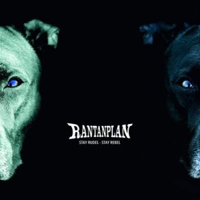 Download track An Aus Rantanplan