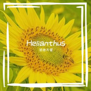 Download track Helianthus 泪色天穹