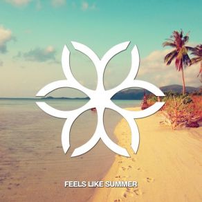 Download track Feels Like Summer (Unknown Artist)