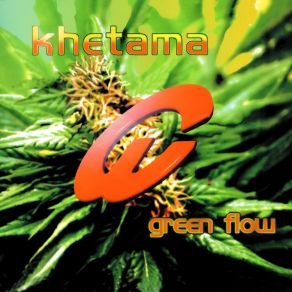 Download track Green Flow (Dj Hooligan Remix) DJ KhetamaDj Hooligan