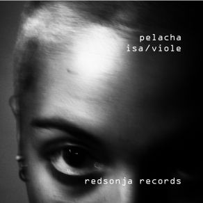 Download track Renovation Pelacha