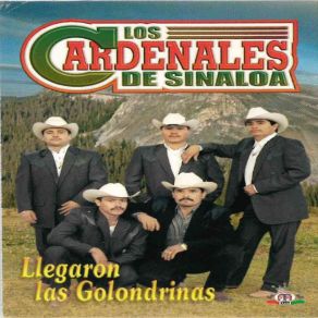 Download track Flor Hermosa Los Cardenales De Sinaloa