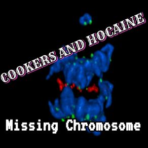 Download track Missing Chomosone (DJ Purple Rabbit Remix, Pt. 1) Ziondread