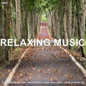 Download track Soothing Peace White Noise Baby Sleep