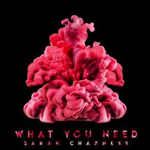 Download track What You Need (Extended Mix) Sarah Charness