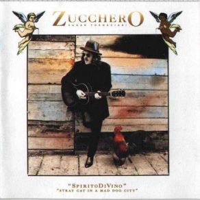 Download track Feels Like A Woman Zucchero