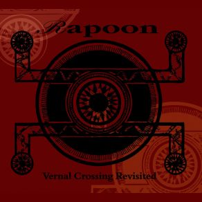 Download track In Marked Walls Rapoon