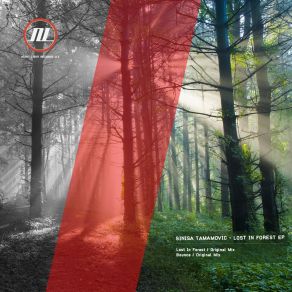 Download track Lost In Forest (Original Mix) Sinisa Tamamovic