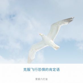 Download track 克服飞行恐惧的专业帮助 景爱六打坐