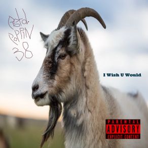 Download track I Wish U Would Pistolpoppin38