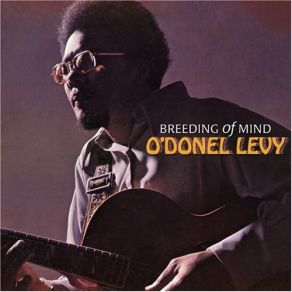 Download track Ideal O'Donel Levy