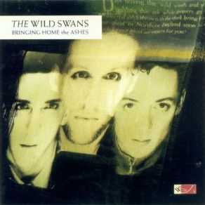 Download track Bible Dreams The Wild Swans