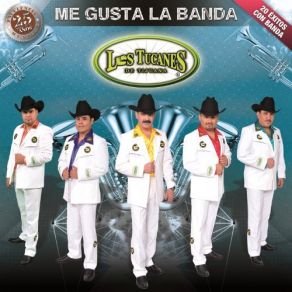 Download track Vicente Zambada Los Tucanes De Tijuana