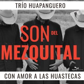 Download track Las 3 Huastecas Trio Son Del Mezquital