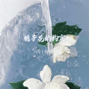 Download track 栀子花的约定 (若你心里只爱着栀子花伴奏) 向晚晚