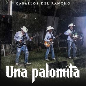 Download track Tengo Madre Caballos Del Rancho