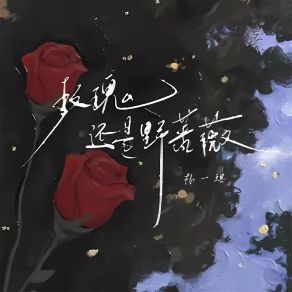 Download track 玫瑰还是野蔷薇 (伴奏) 杨一琪