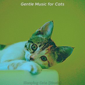 Download track Laid-Back (Kittens) Gentle Music For Cats