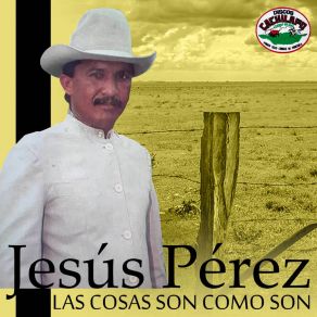 Download track Descripción De Mi Caballo Jesús Pérez