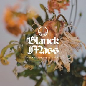 Download track Shit Luck Blanck Mass