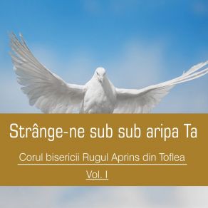 Download track Viața, Inima, Sufletul Corul Bisericii Rugul Aprins Din Toflea