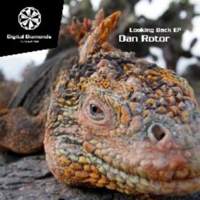 Download track Dan _ Rotor _ - _ Looking _ Back Dan Rotor