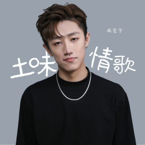 Download track 土味情歌 张宏宇