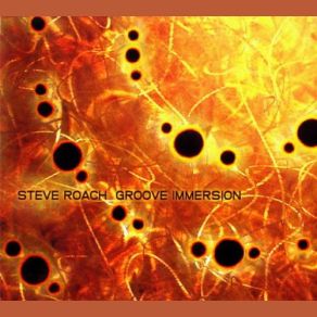 Download track Groove Immersion - Part One Steve Roach