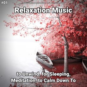 Download track Calm Music Part 48 Relaxing Spa Music