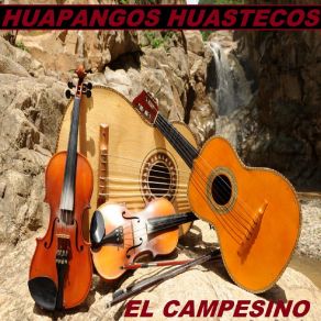 Download track El Piolin Huapangos Huastecos