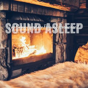 Download track Log Cabin Fireplace Evening Ambience, Pt. 16 Elijah Wagner