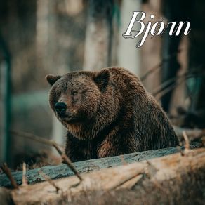 Download track Bjørn Walter Inoue