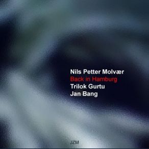 Download track Ethnic Trilok Gurtu, Jan Bang, Nils Petter Molvær