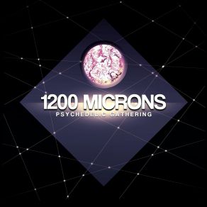 Download track Bizzare Contact 1200 Microns