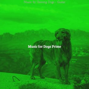 Download track Amazing Moods For Separation Anxiety Music For Dogs Prime