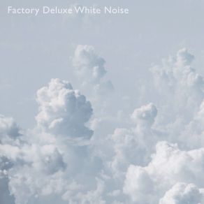 Download track The Days Of Sleep And White Noise Factory Deluxe White Noise