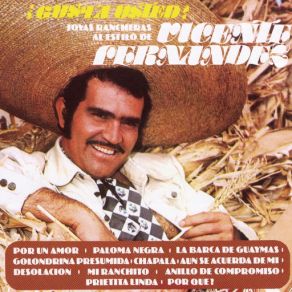 Download track Desolación Vicente Fernández