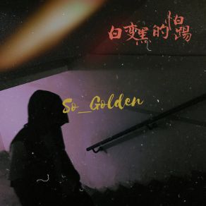 Download track 白变黑的怕踢 So Golden