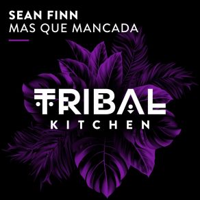 Download track Mas Que Mancada (Extended Mix) Sean Finn