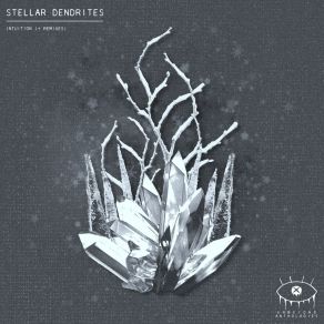 Download track Intuition (F / K Remix) Stellar DendritesF. K